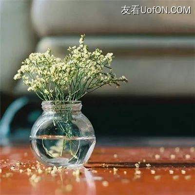 幻域战魂果盘版下载