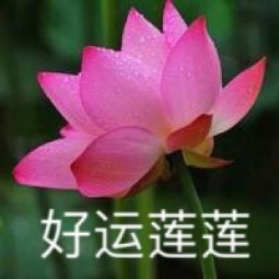 射雕侠侣手游bt版下载